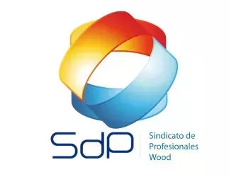 Logo de la votación Elección directiva Sindicato de Profesionales de Wood periodo 2024-2026