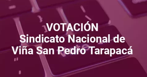 Logo de la votación Elecciones complementarias Sindicato Nac. De Empresa Viña San Pedro Tarapacá S.A. N°2