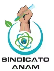Logo de la votación Elección Directiva Sindicato ANAM